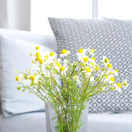 Appartement Nordlichtferienwohnungnoer *